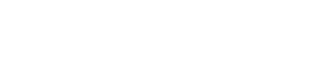 Logo Item